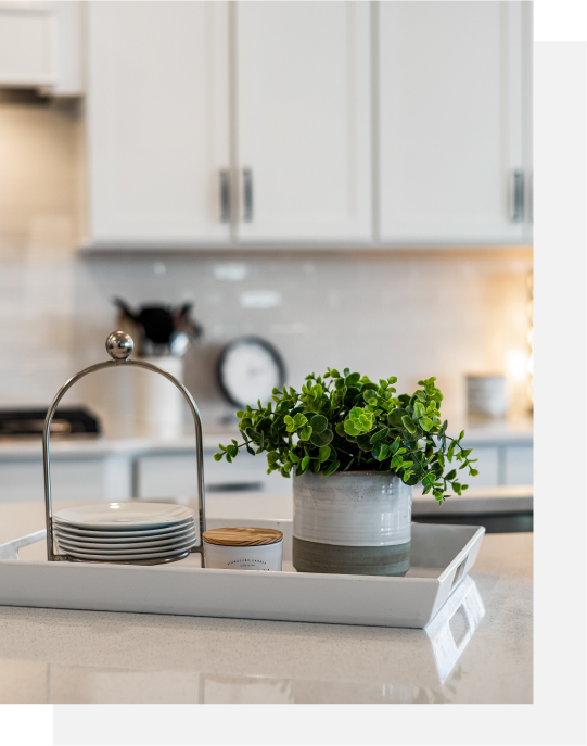 Insignia Cabinets kitchen interior